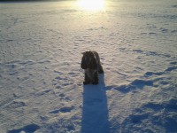 /album/ilpo/maalliskuu13-038-jpg/